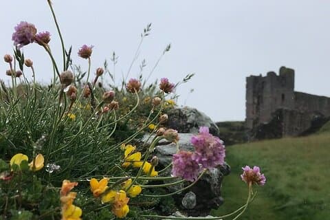Küsten & Geister: Spukendes Northumberland – Chillingham Castle