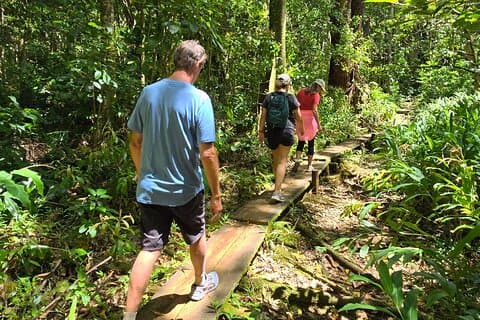 Aventura de caminhada na floresta tropical vulcânica de Oahu