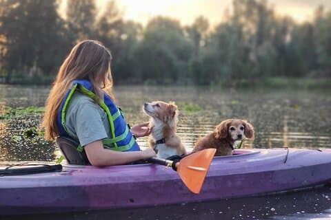 Xochimilco Sunrise Tour: Kayak at the Magic Morning Light
