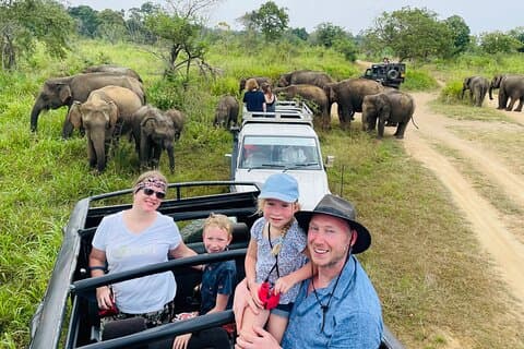 Minneriya National Park Safari - Privat Jeep med upphämtning på hotell