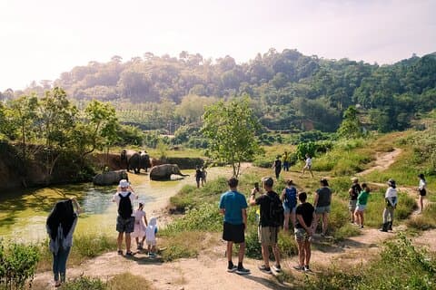 Mini Elephant Nature i Bukit Elephant Park