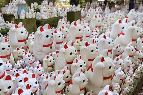 Tour Privado - Milhares de gatos sortudos! Vá de bonde, Gotokuji Tour