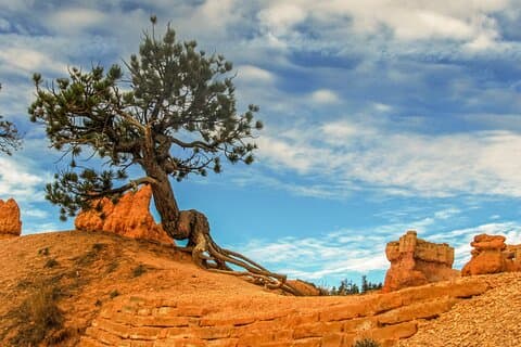 Tour Privado Planalto do Colorado saindo de Sedona