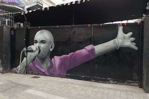 Private Führung durch Dublin auf Französisch