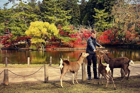Nara-avontuur: Todaiji, Kasuga-schrijn, Nara-park, Hozanji-tempel