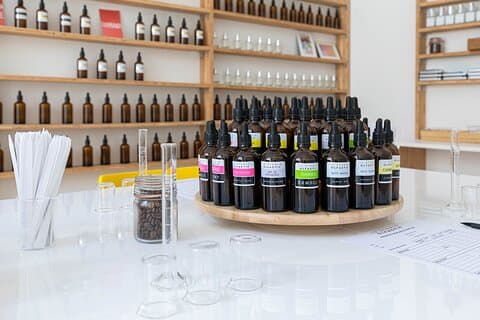 Perfume creation workshop in Bordeaux Center