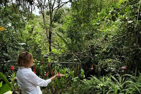 Tour privato di un giorno nella foresta nebulare di Mindo e nella fabbrica di cioccolato