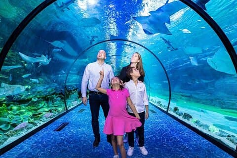Tickets to The National Aquarium Abu Dhabi