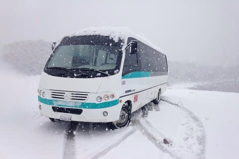 Round trip transfer to Cerro Castor