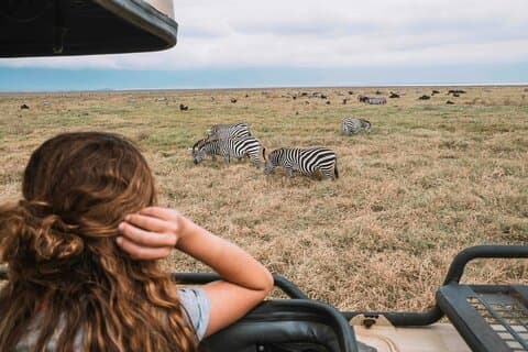 Safari naturalistico di 4 giorni in Tanzania