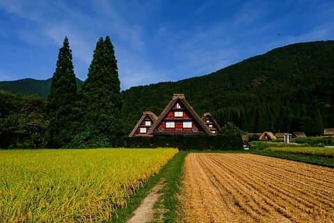 Shirakawago & Hida Takayama One Day Bus Tour from Nagoya