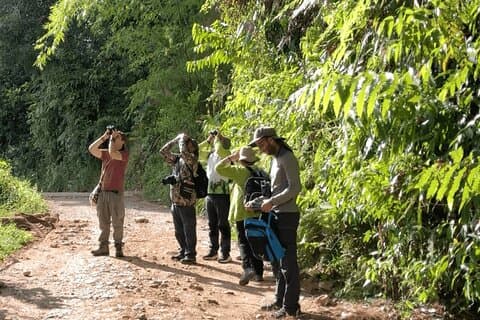 Birdwatching a Guatapé con circa 400 specie di uccelli