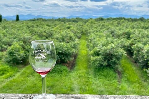 Liten gruppe vin- og cidertur i Vermont