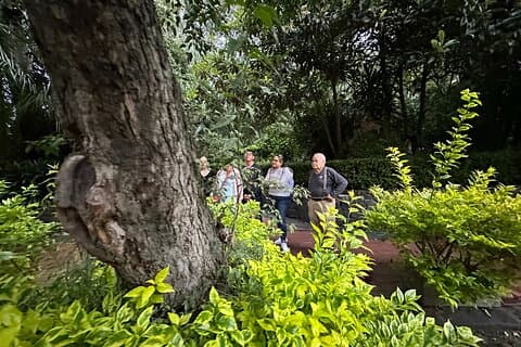 San Angel Private Ecotour