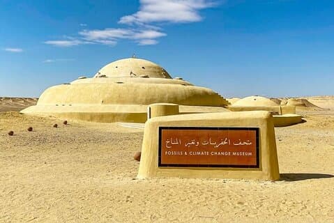 Tour al Oasis de Fayum con recogida desde El Cairo