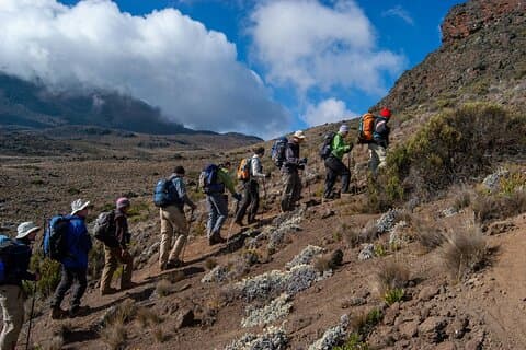 8 dager guidet privat vandring i Mount Kilimanjaro
