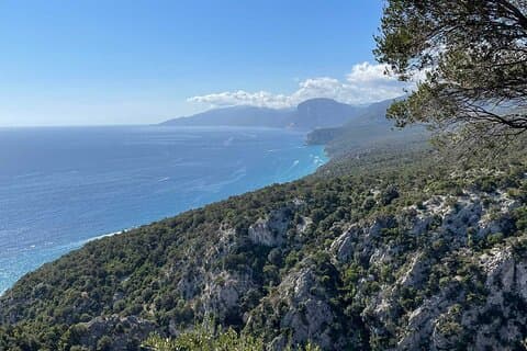 Excursão gastronômica, vinícola e de artesanato em Dorgali saindo de Cala Ganone