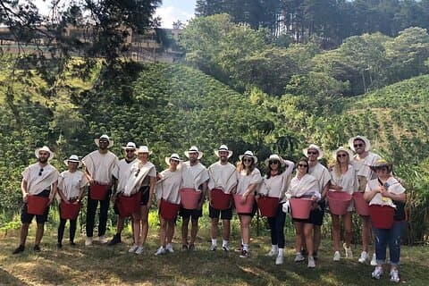 Medellin Coffee Farm Tour with Cable Car Ride