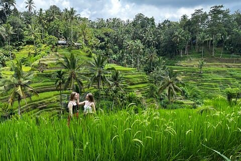 Bali Sunrise sem caminhadas: templos, terraços de arroz e cachoeiras