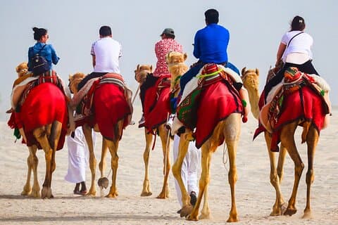 Camel ride & Quad cykel Erfaring i sandstrand Qatar