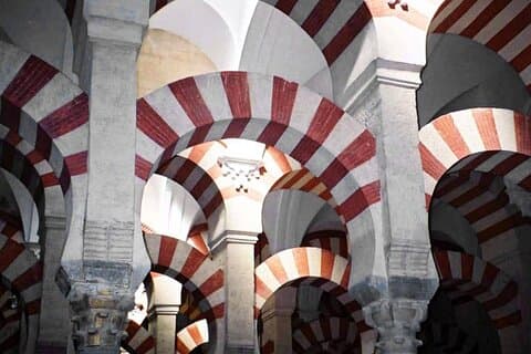 Private Moschee-Tour auf Spanisch. 1-stündiger Eintritt inklusive