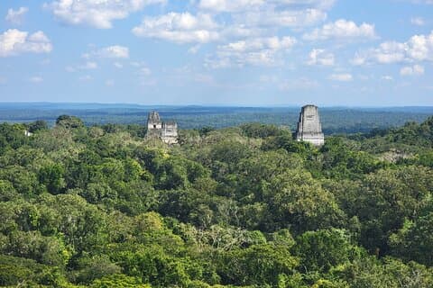 Tikal Private Tour von Flores Guatemala mit Transport