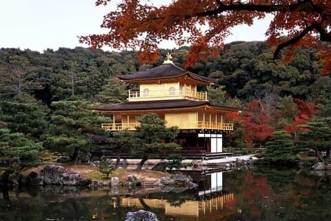 Arashiyama Kinkakuji Temple Nara Park tur fra Osaka og Kyoto