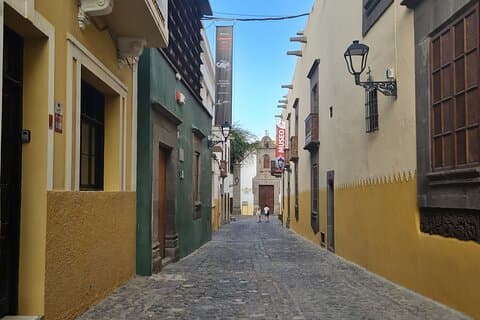 The Essentials of Gran Canaria: 4-Hour Tour from the Port