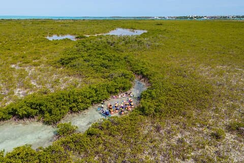 2 timmars fri kajakpaddling på Mangrove Cay