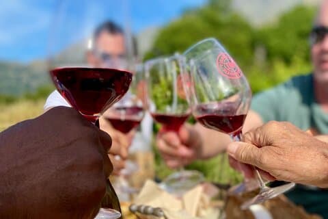Corsican Wine tasting & Picnic in Saint Florent