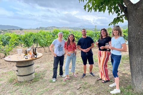 Corsican Wine Tour & Picnic in Calvi