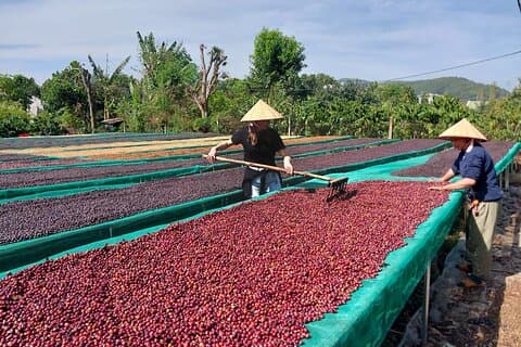 Coffee Experience _From Farm to Cup by Elon Farm