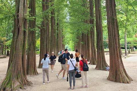 Scenic Escape: Nami Island, Garden of Morning Calm och Rail Bike