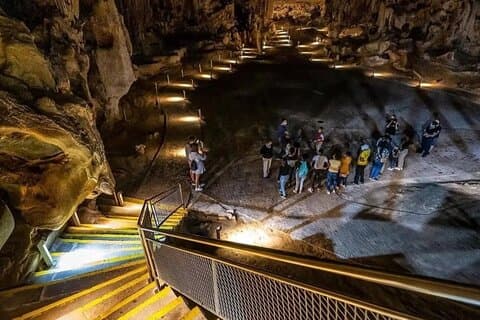 Cuevas Oudtshoorn Cango y experiencia de avestruz con almuerzo