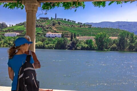Boat Trip to Régua Through the Douro Valley with Breakfast and Lunch