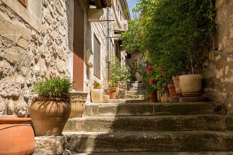 Private Führung durch Saint-Remy, Arles und Les Baux
