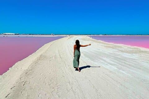 Depuis Cancún : Safari à Rio Lagartos, Coloradas et bain maya