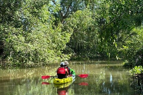 VIP Mekong Delta Adventure Cycling & Kayak Day Trip -Small Group