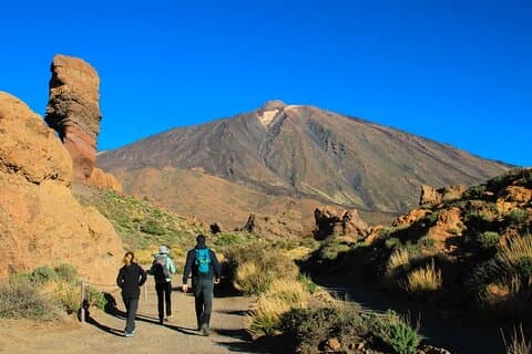 Excursion d'une demi-journée au parc national du Teide