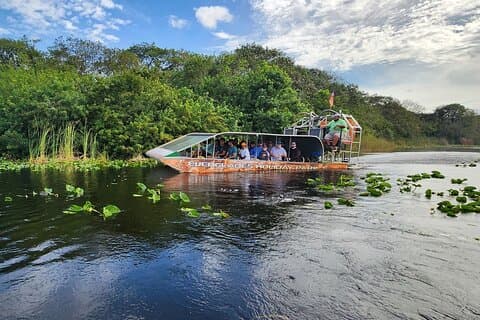 Everglades Alligator Airboat Tour avec transfert en bus de Miami