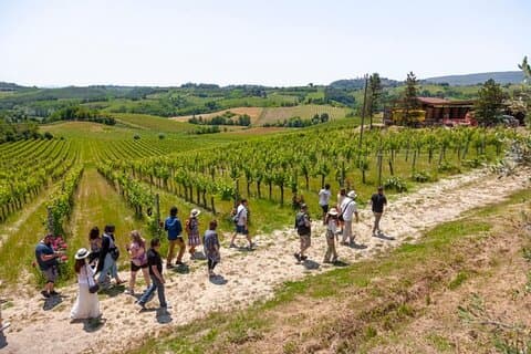 Toscana Day Trip fra Firenze: Siena, San Gimignano, Pisa og Lunch på en vingård