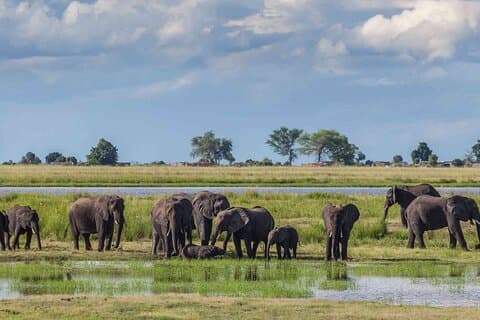 3-daagse Masai Mara Safari-tour met kleine groepen