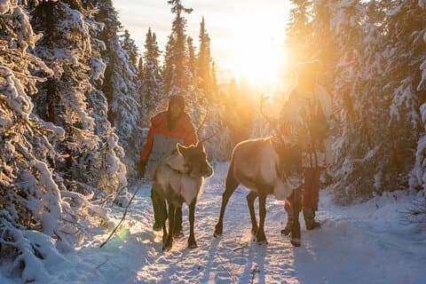 Promenader med Rendeer Experience