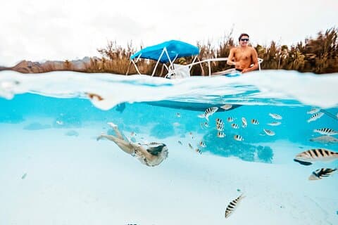 Lagoon and Wildlife Discovery on a Private Boat in Moorea