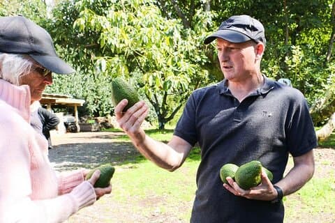 Tour gastronómico de Kwizine en el oeste de Bay Of Plenty
