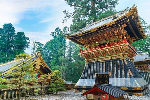 Nikko Sightseeing Tour