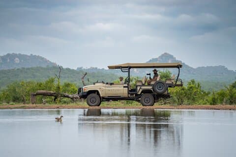 Big 5 Afternoon Safari