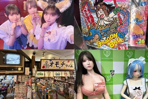 プライベート秋葉原レトロ東京アニメゲームメイドカフェツアー（送迎付き）