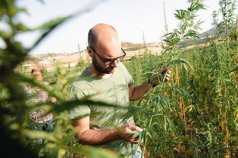 Sensory walk with lunch in the countryside of Caltagirone