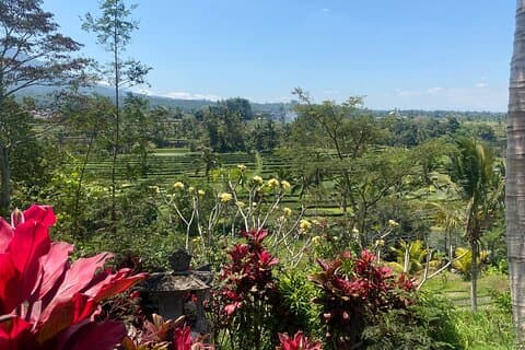 Ganztägige Rollertour durch Bali